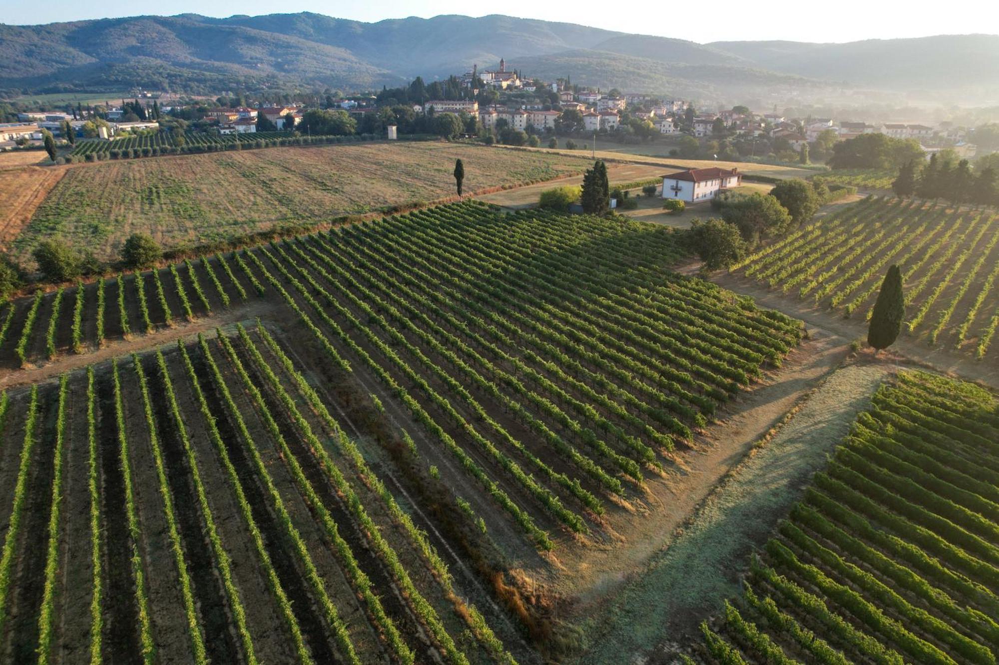 Cappannelle Country House Tuscany Castiglion Fibocchi Luaran gambar